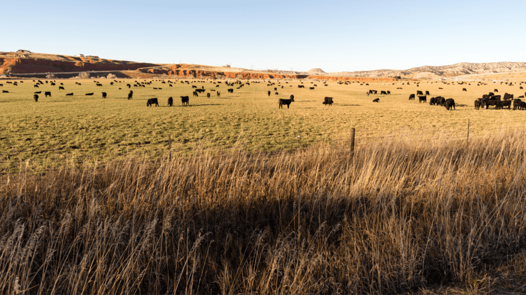 Unleashing The Potential The Benefits Of Regenerative Agriculture